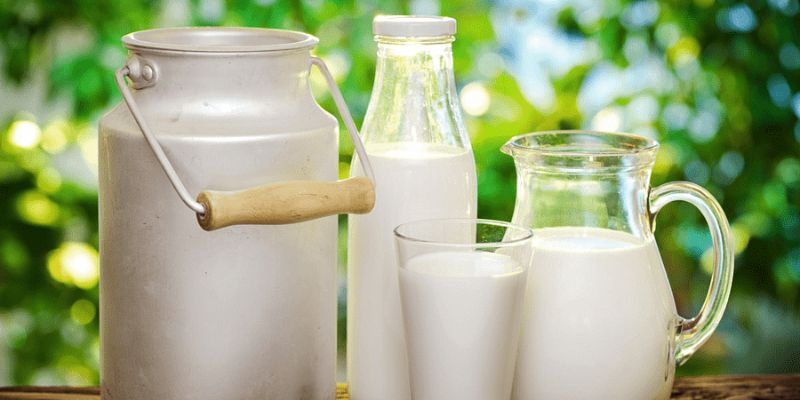 Why Should You Choose Organic Milk?